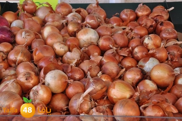 souq gan temar (34).JPG